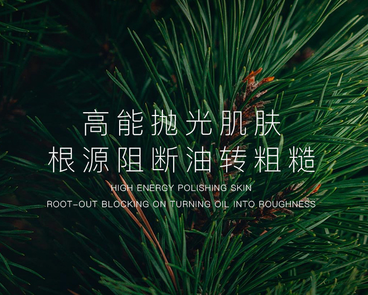 囊泡系列