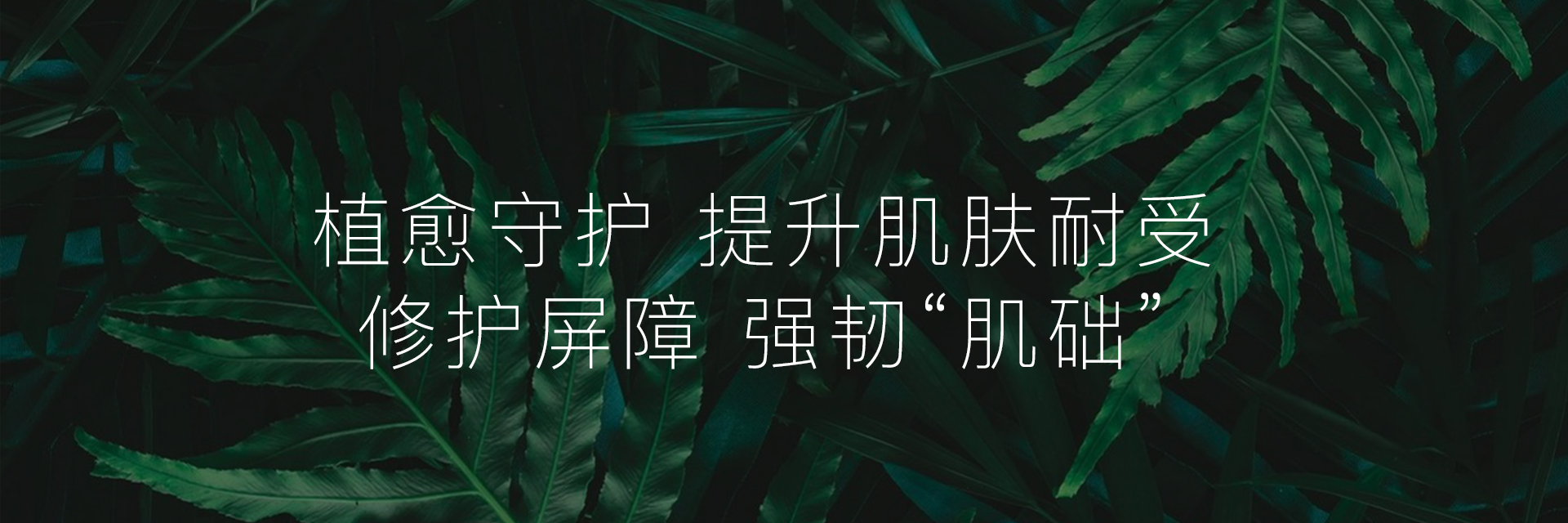 油痘（控油祛痘）