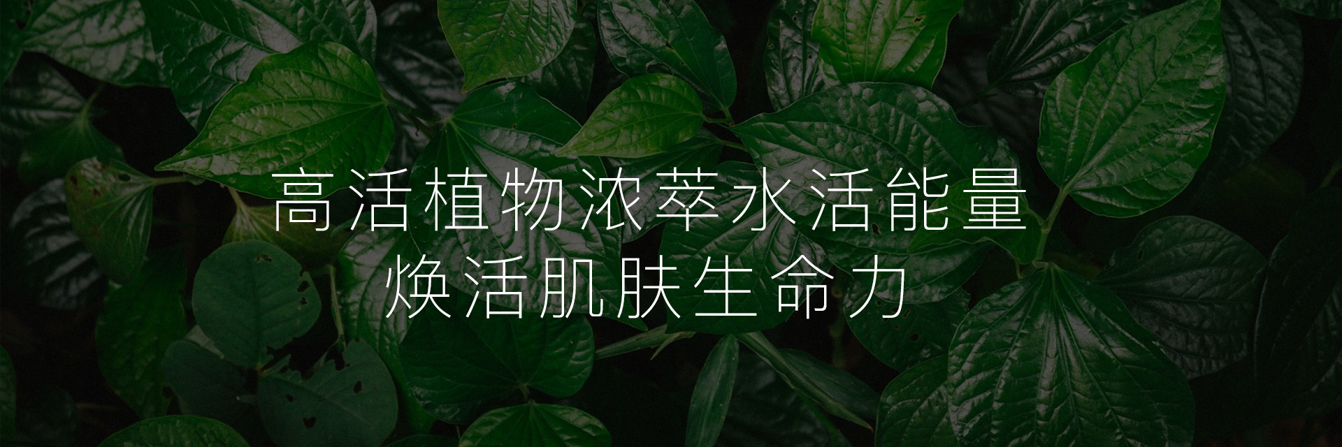 油黄肌（控油美白）