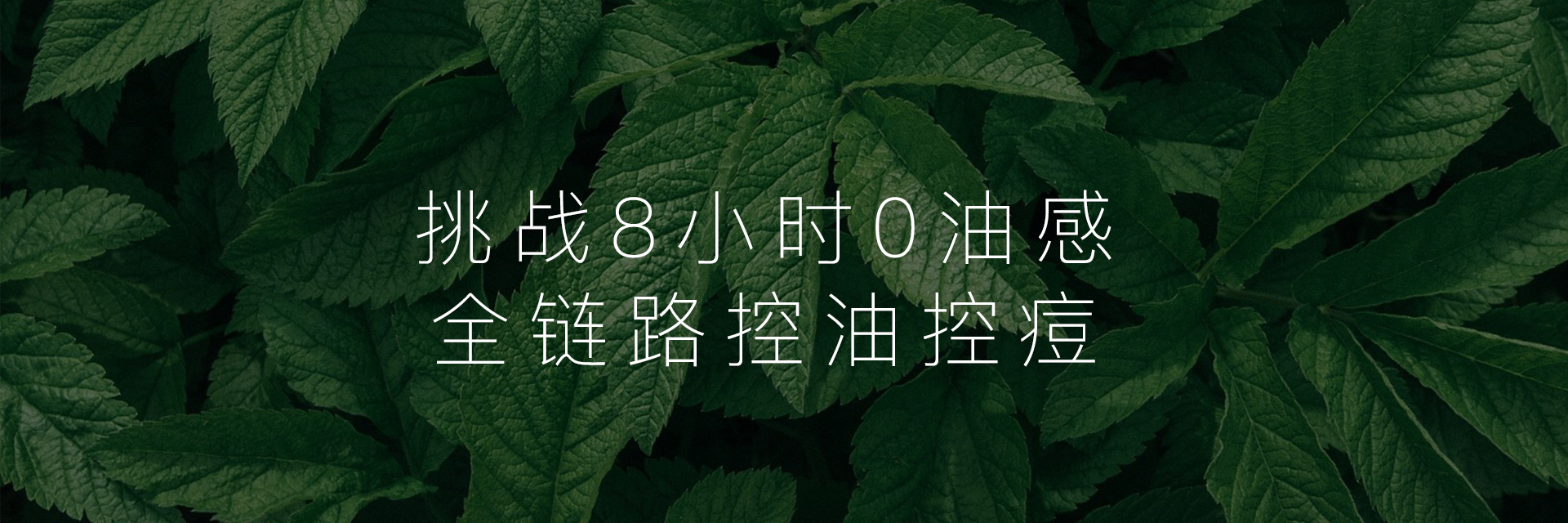 油敏肌（控油舒缓）