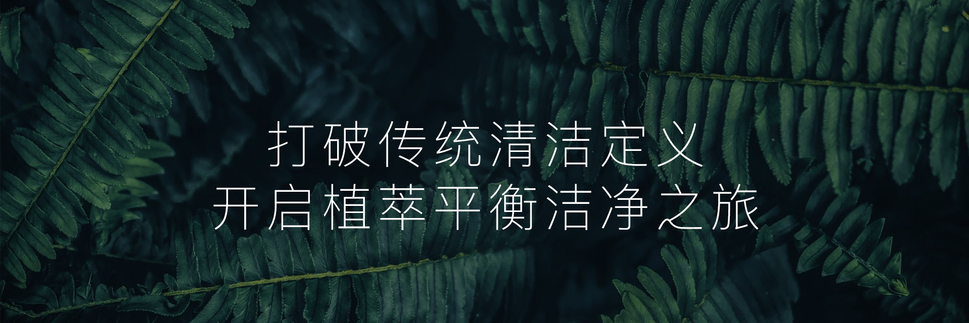 青少年/男士控油