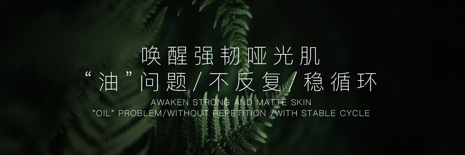 油腻肌（控油收敛）