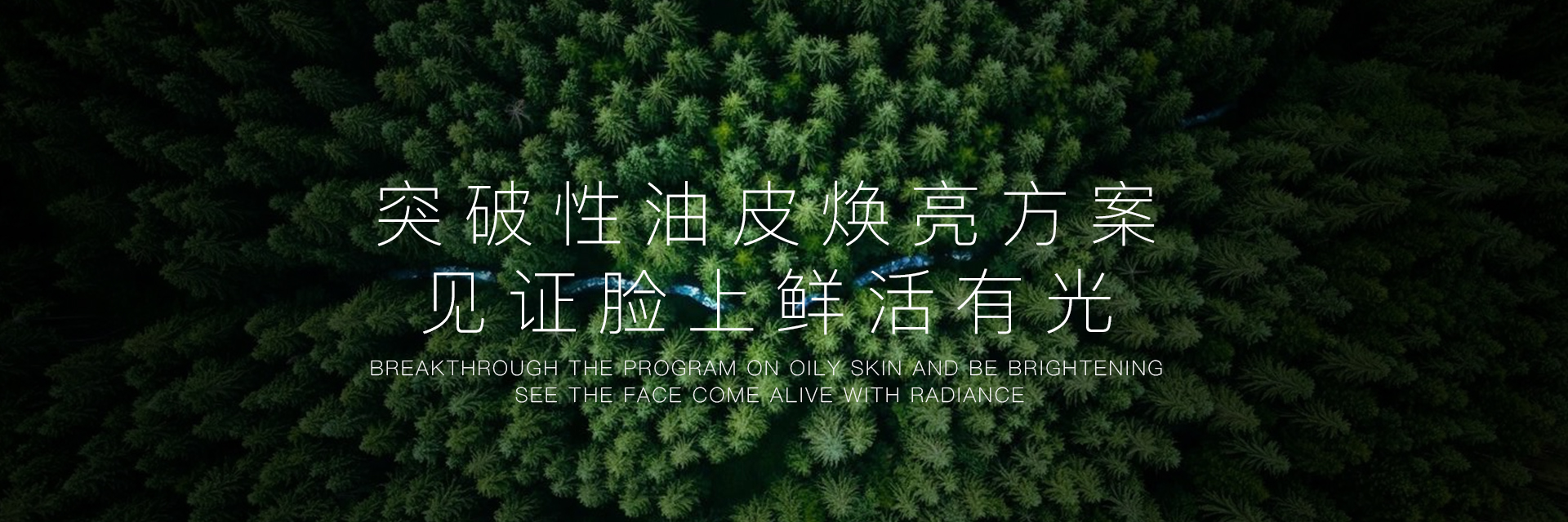 油黄肌（控油美白）