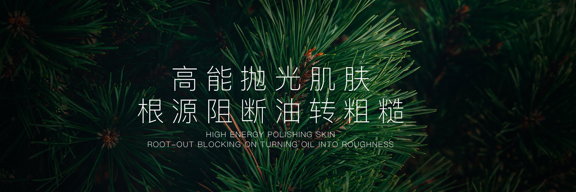 青少年/男士控油